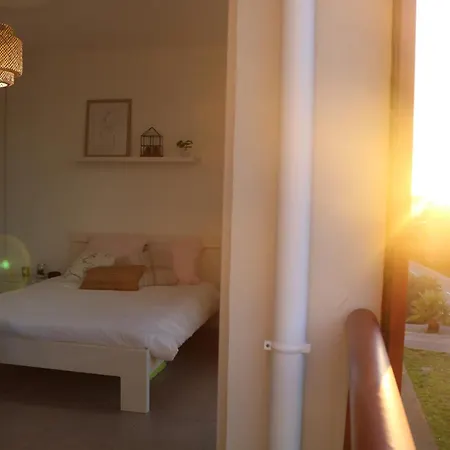 T2 Moderne, Vintage & Cosy Сет